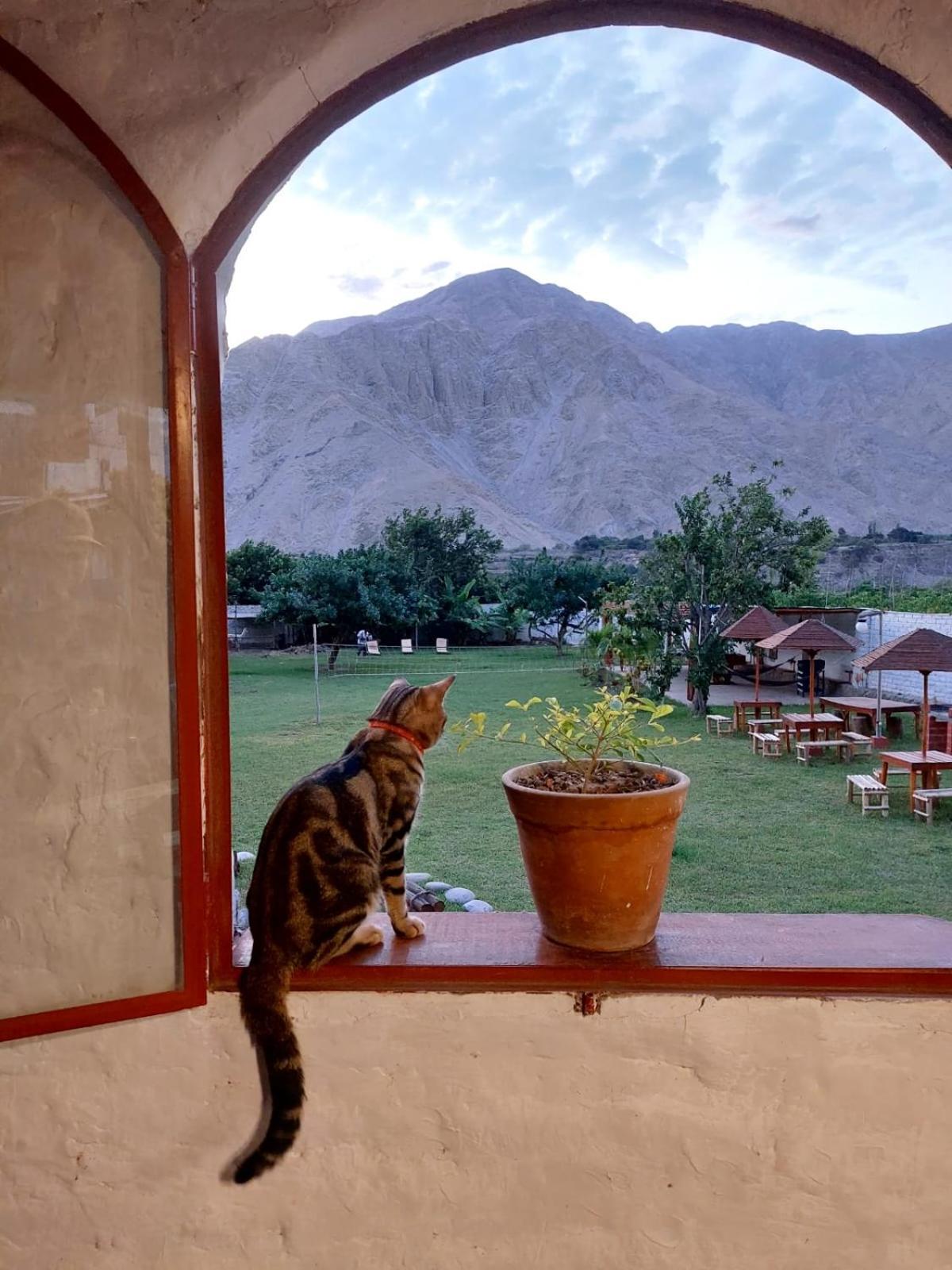 La Fortaleza Del Inca Lunahuaná Dış mekan fotoğraf